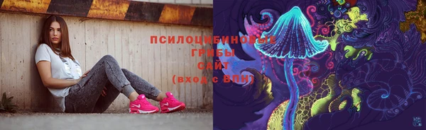прущая мука Гусиноозёрск
