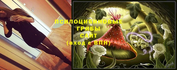прущая мука Гусиноозёрск
