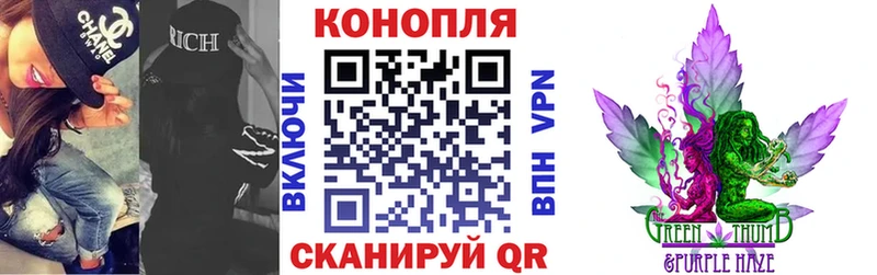 Бошки марихуана MAZAR  Купить где  Тотьма 